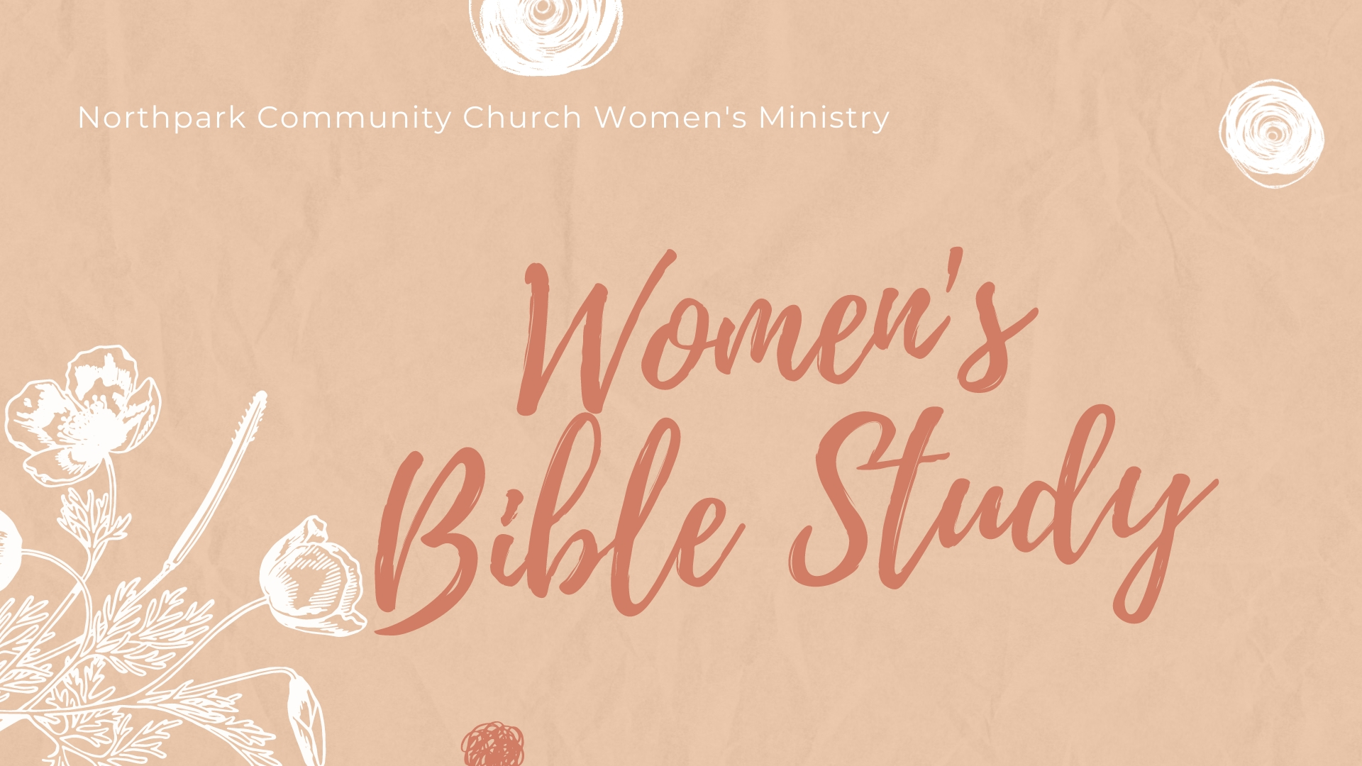 Women's Tuesday Evening Bible Study - Online - Northpark